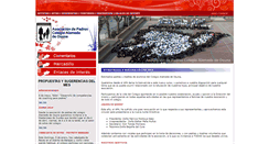 Desktop Screenshot of apacolegioalameda.com